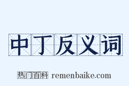 中丁反义词是什么意思的图片